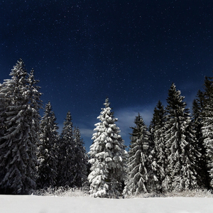 亚洲精品国产精品99久久
